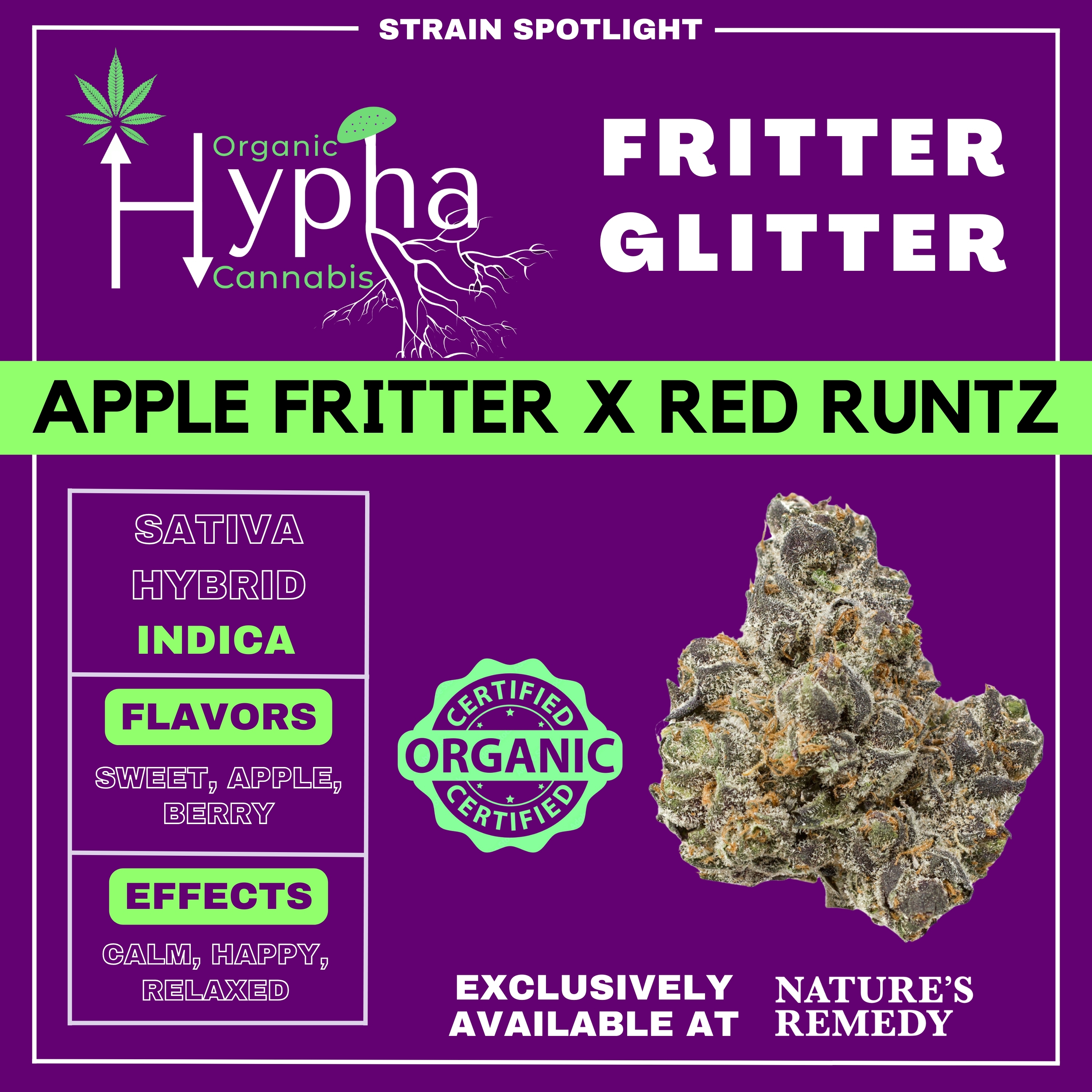 Photograph of product: Fritter Glitter Flower By Hypha - 28g