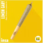 Photograph of product: Lemon Gary Preroll | 0.5g
