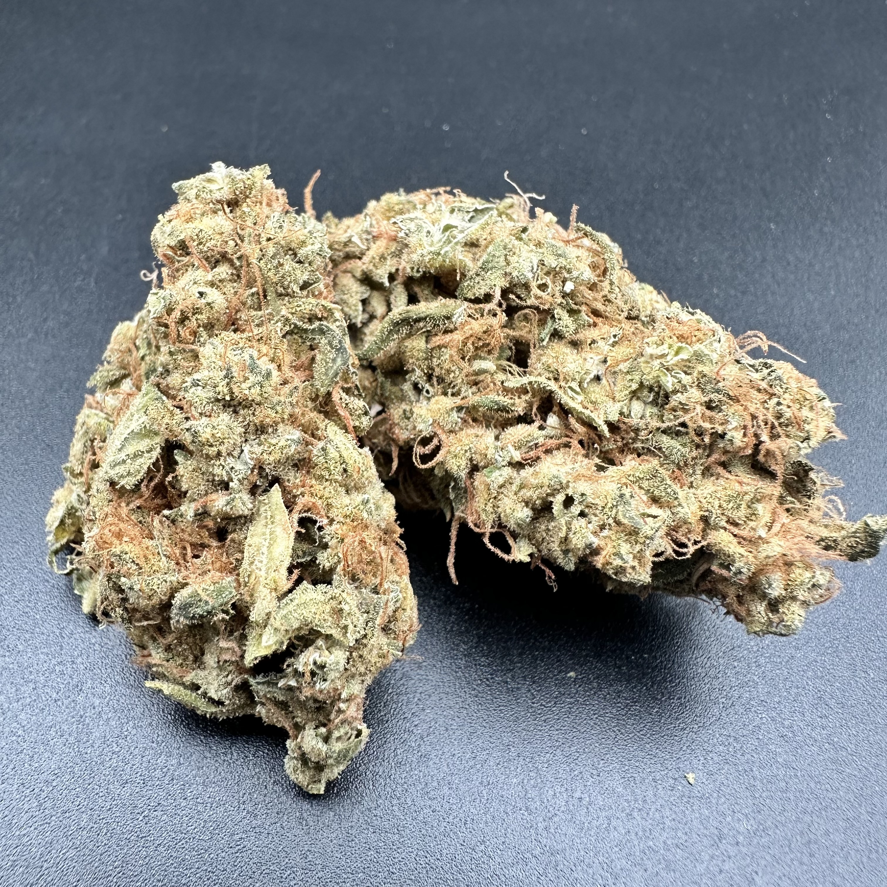 Photograph of product: $50 GMP Flower - Fat Billy - 28g