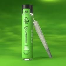 Photograph of product: Grand Daddy Purple - 1g Pre-roll - 