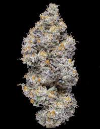 Photograph of product: Grape L.A. | Flower | 1/4th OZ - 28g