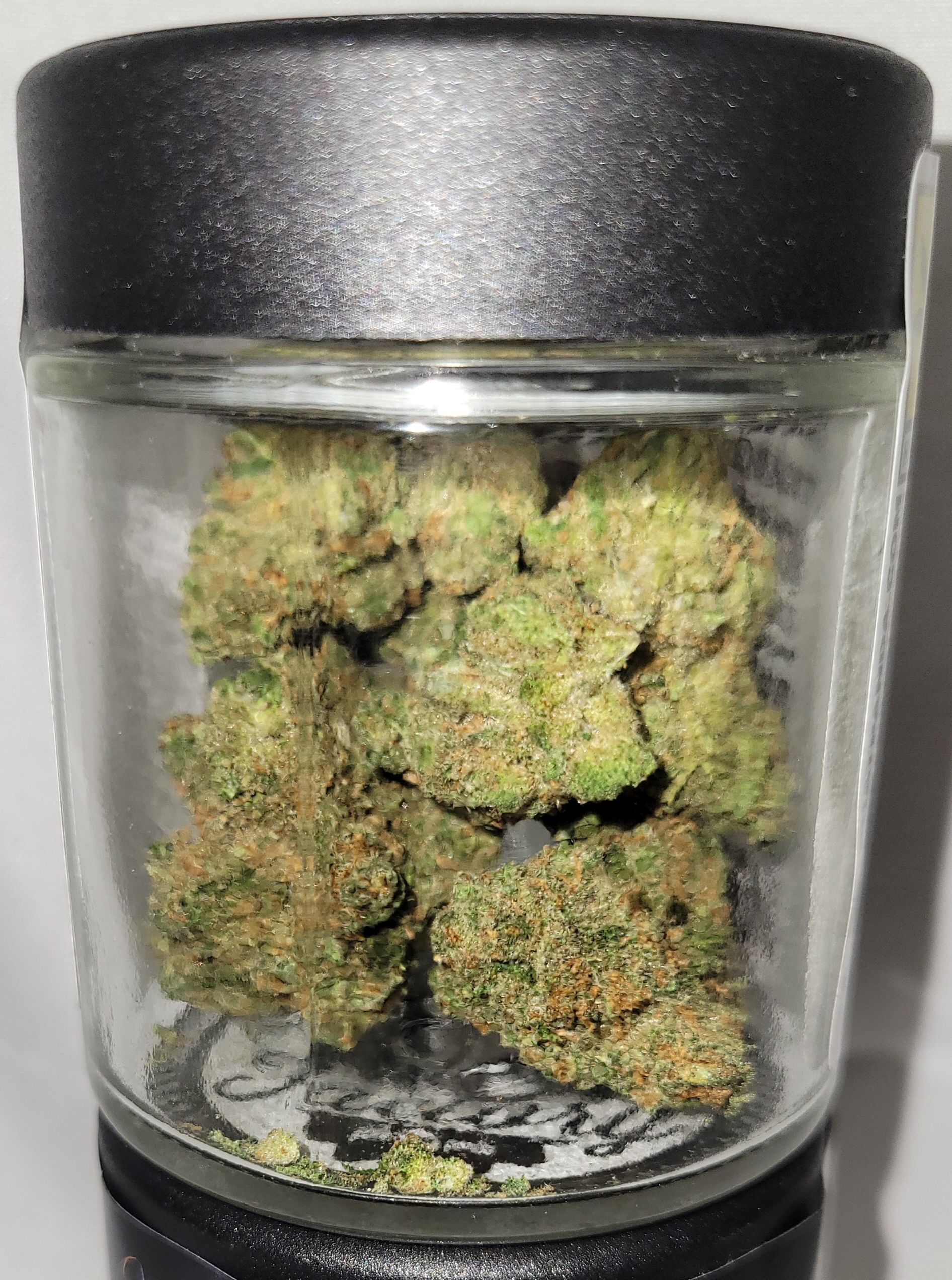 Photograph of product: Jack Herer | 3.5g *General Use Compliant*