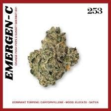 Photograph of product: Emergen-C-3.5g TAC 29.11