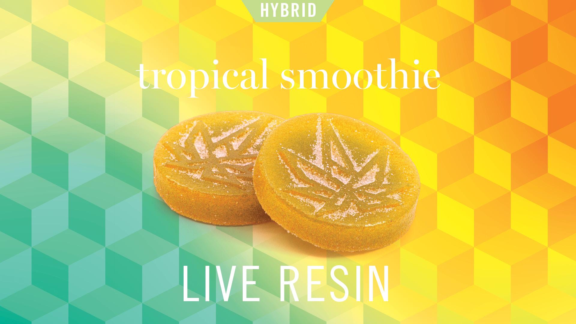 Photograph of product: Levitate | Tropical Smoothie Live Resin 200mg Hybrid Gummies