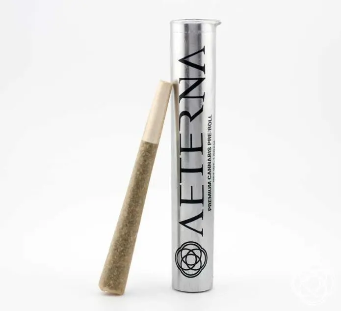 Photograph of product: Aeterna | Preroll | Apple Fritter | 1g