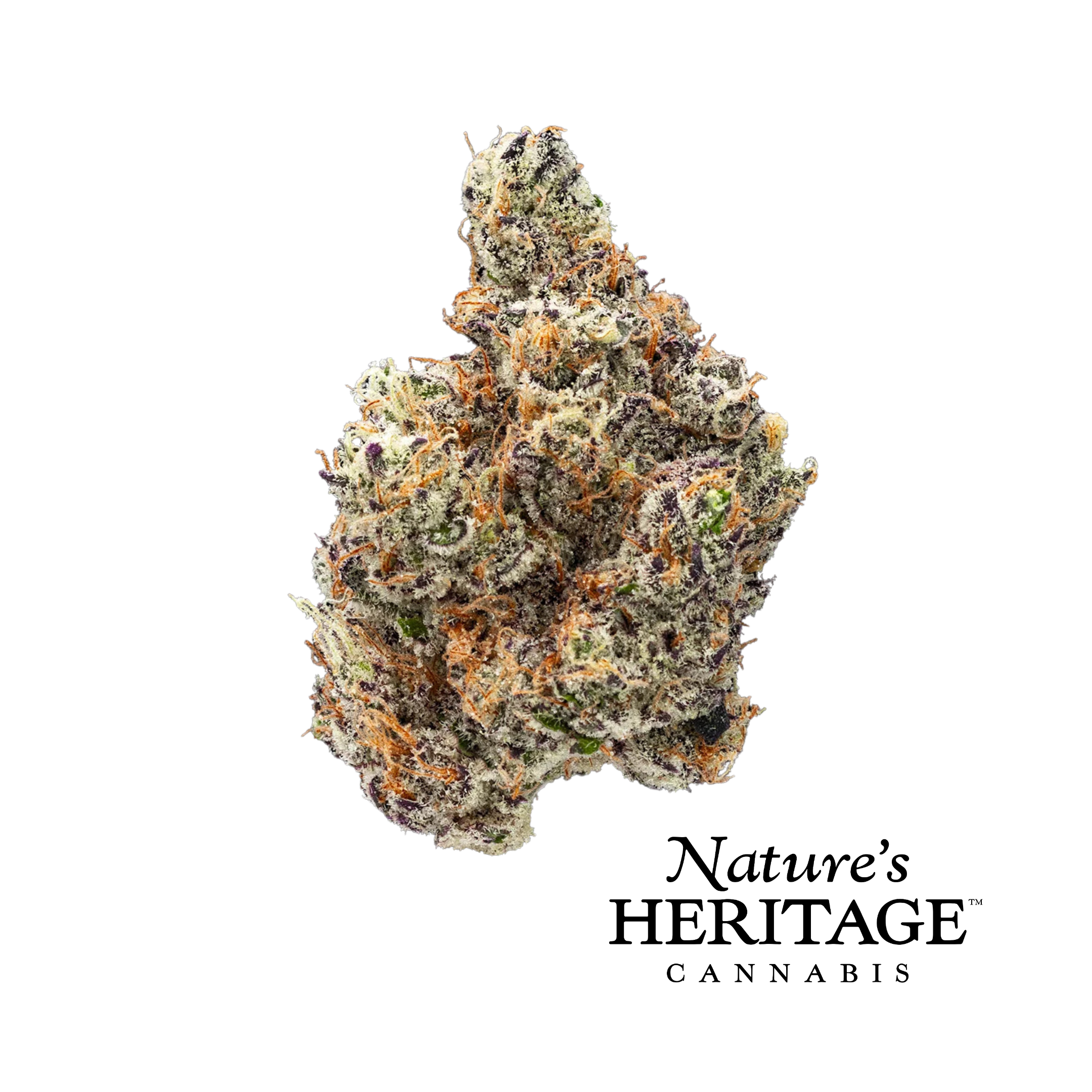 Photograph of product: Govermint Oasis | 3.5g
