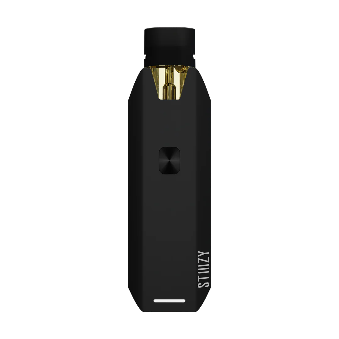 Photograph of product: STIIIZY PRO XL Pod Vape Device Silver
