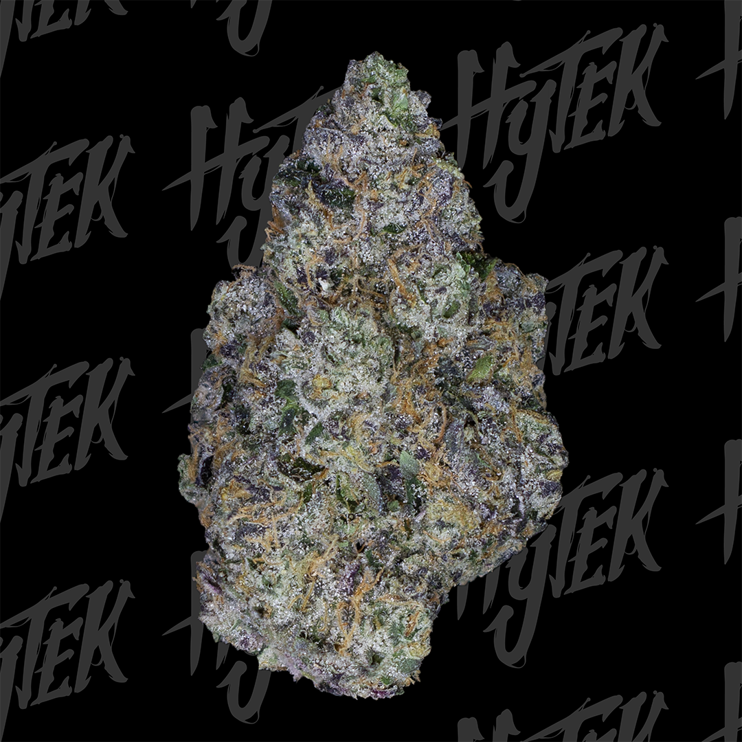 Photograph of product: HYTEK | BUBBLEGUM SHERB | BULK DELI FLOWER - 3.5g