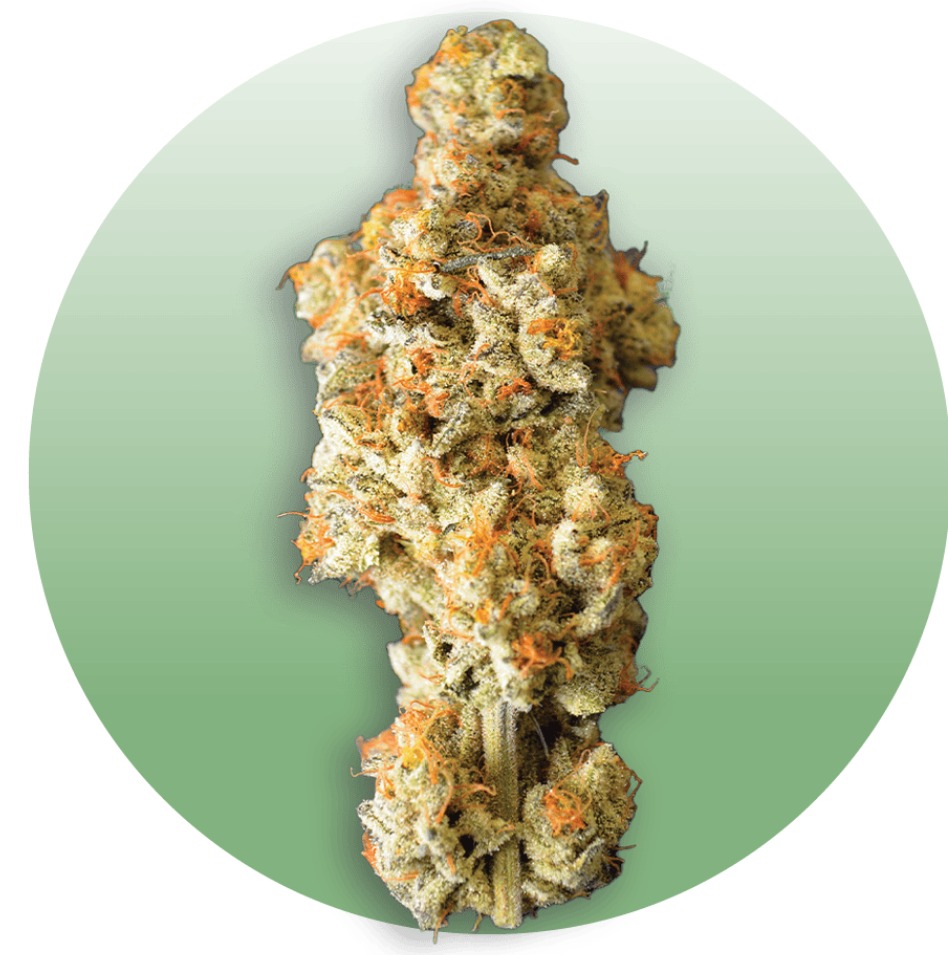Photograph of product: Original Mandarin Cookie 2.83g