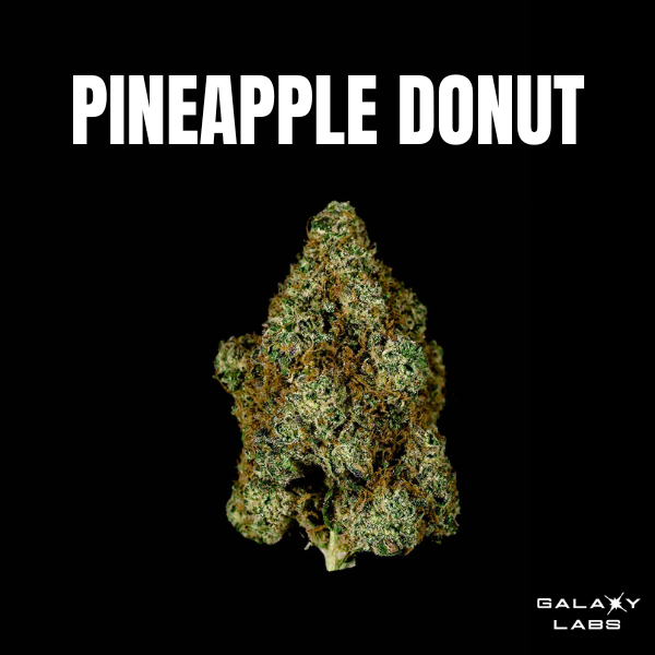Photograph of product: PINEAPPLE DONUT 3.5G FLOWER