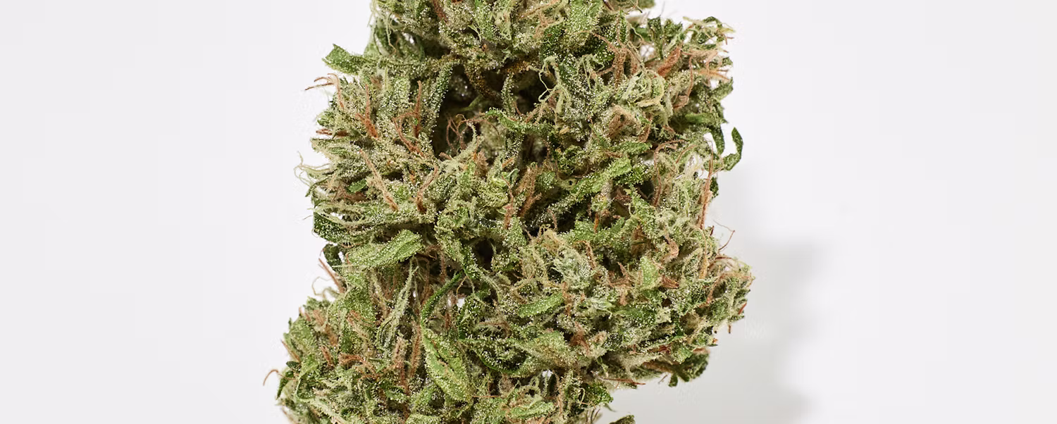 Photograph of product: Alchemy Pure | Flower | Trainwreck 20% TH-oui | I-Hybrid | 3.5g