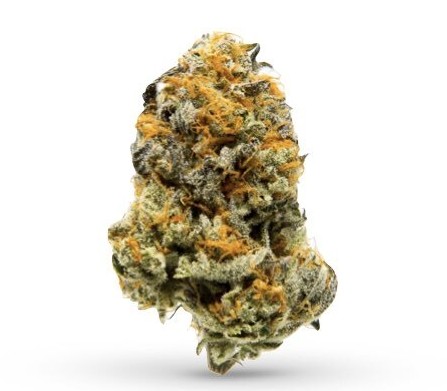 Photograph of product: OZ - Iced Cloud Cake - (Oui'd Hybrid) - 25.13% TH-oui (+/- 10%) - Rare Michigan Genetics - 9447 - 28g