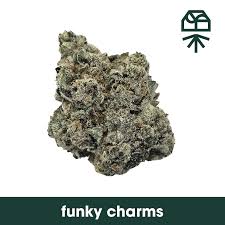Photograph of product: FUNKY CHARMS | INFUSED FLOWER | 3.5G (HYBRID)