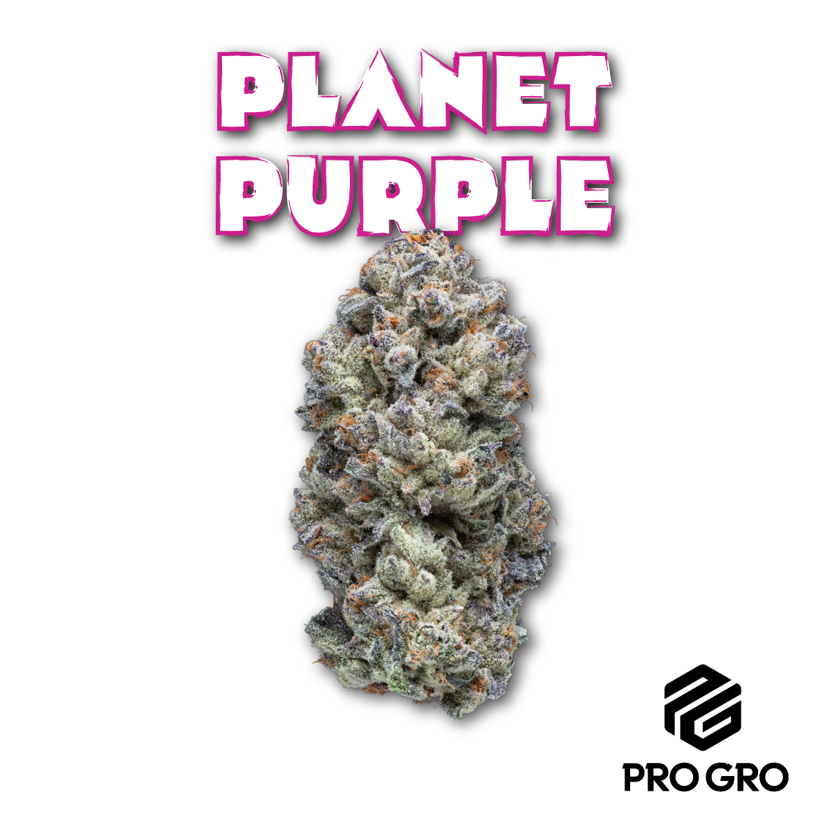 Photograph of product: ProGro Planet Purple Buds - 28g