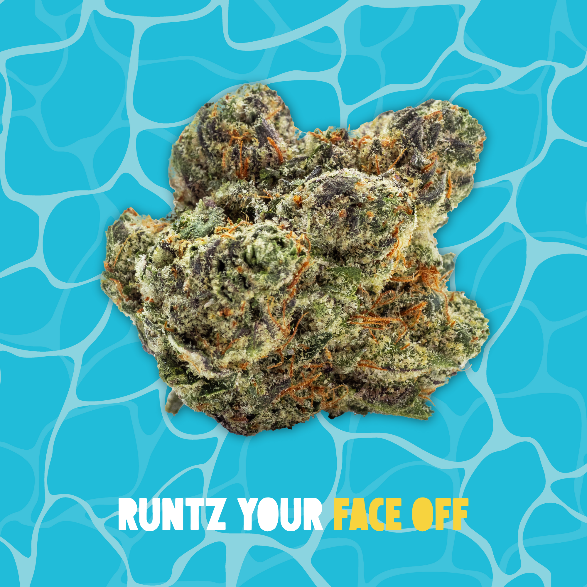 Photograph of product: Buoyant Bob - Runtz Your Face Off - Deli Flower - 84g
