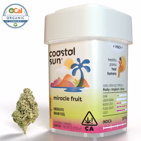 Photograph of product: Coastal Sun | Flower S | Miracle Fruit - 7g