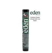 Photograph of product: Eden | Fruit Funk BH Infused PRJ