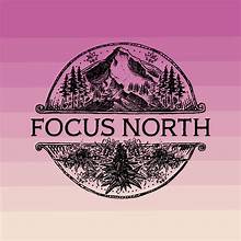 Photograph of product: Focus North - Melted Strawberries - Live Rosin