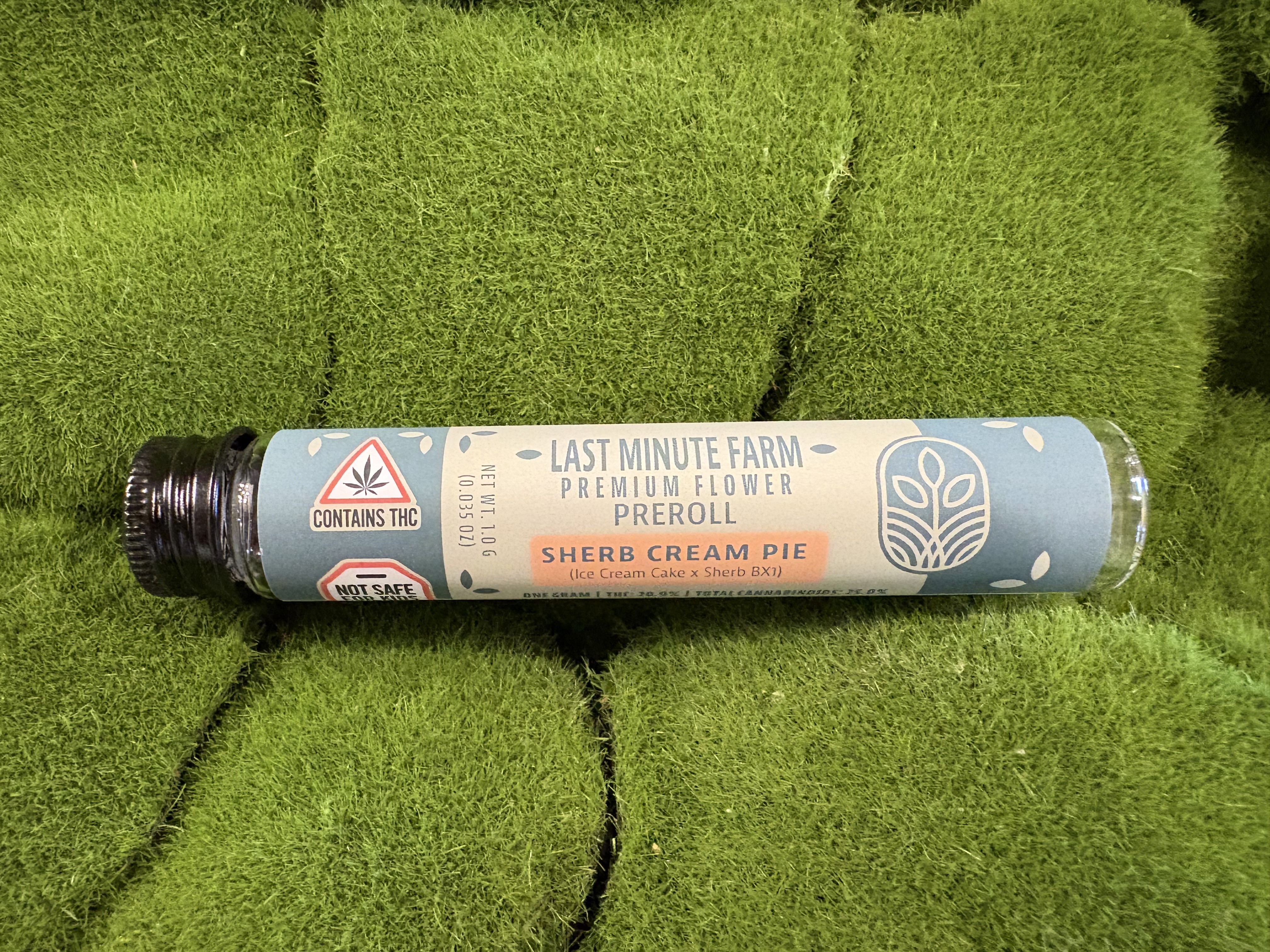 Photograph of product: Pre Roll Single | Sherb Cream Pie | Last Minute Farm