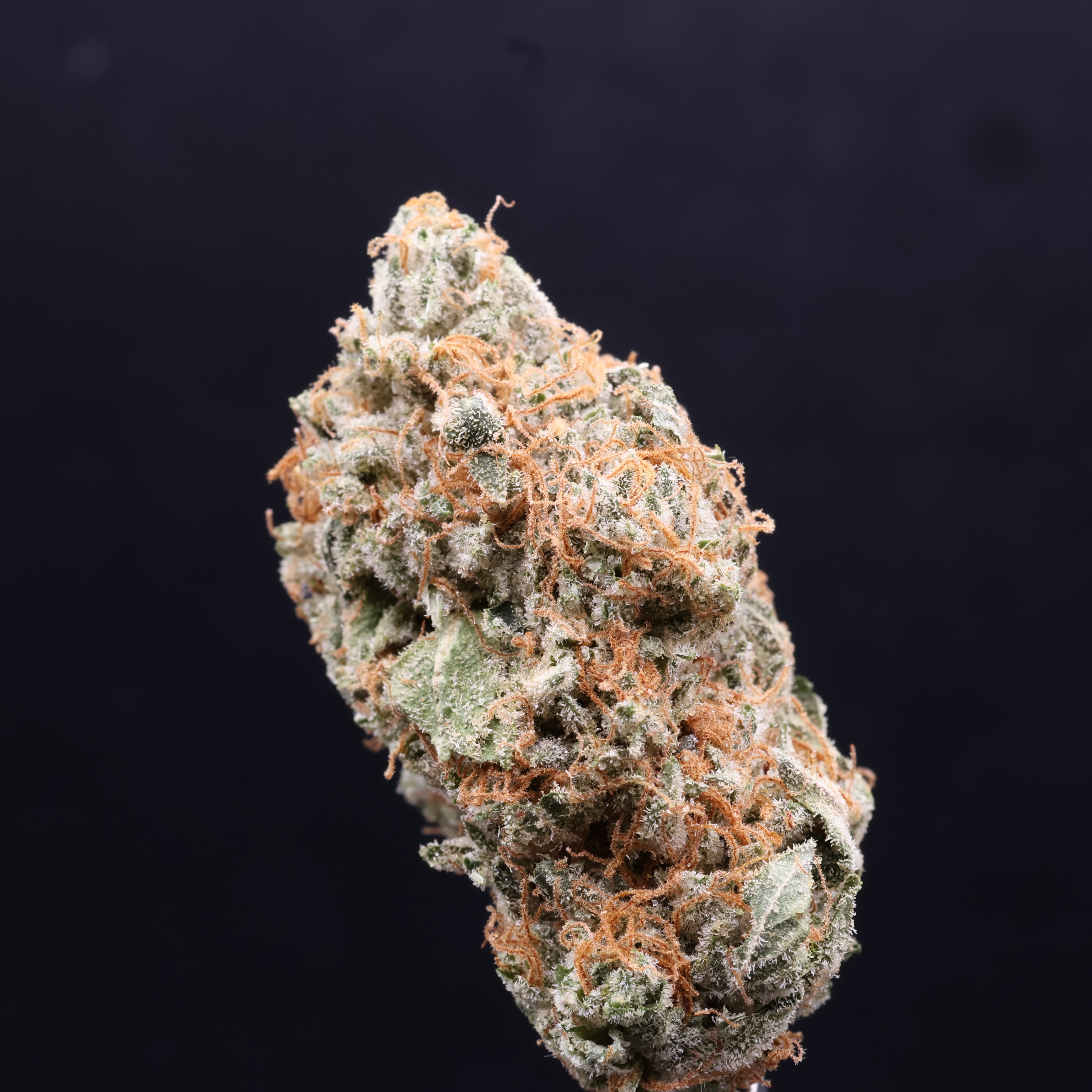 Photograph of product: Zour Larry (Eugreen Farm) - 28g
