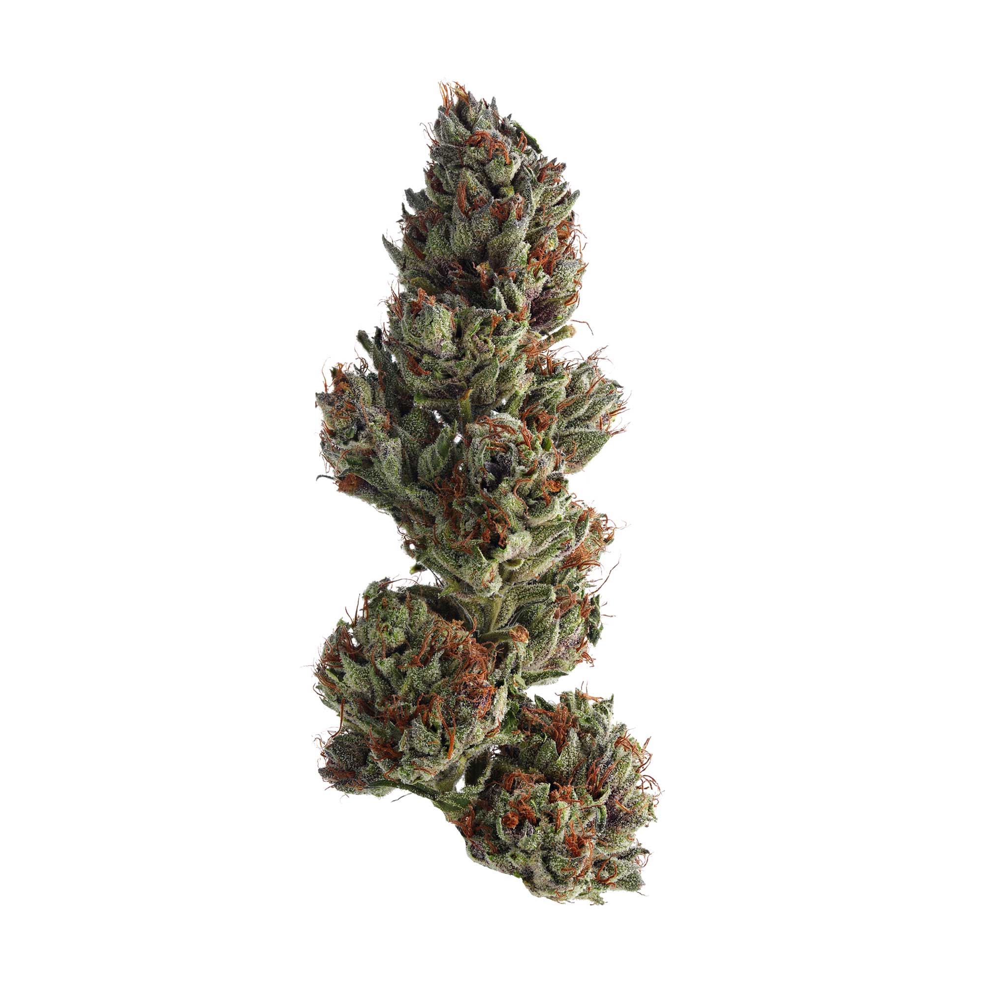 Photograph of Product: Runtz