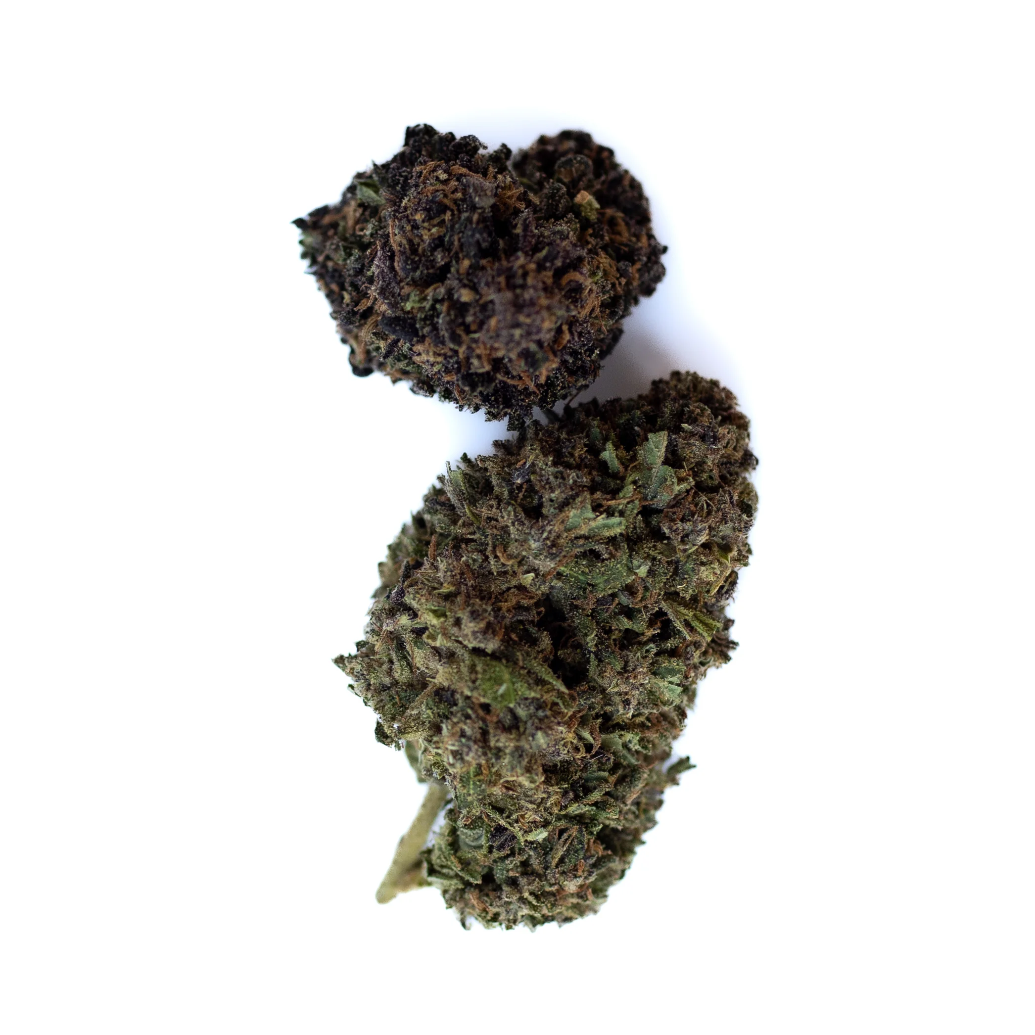Photograph of product: Blood Orange Diesel CBD (I)