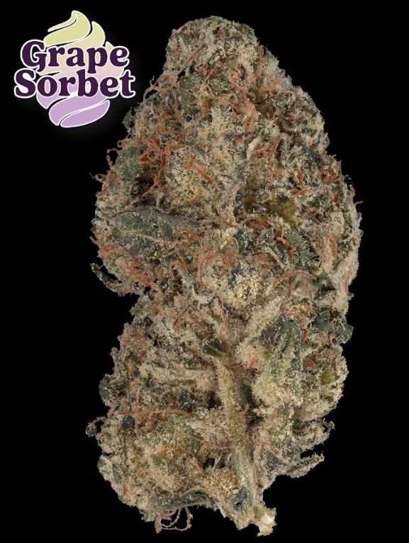 Photograph of product: Prolific Growhouse Grape Sorbet 1g Flower Bag