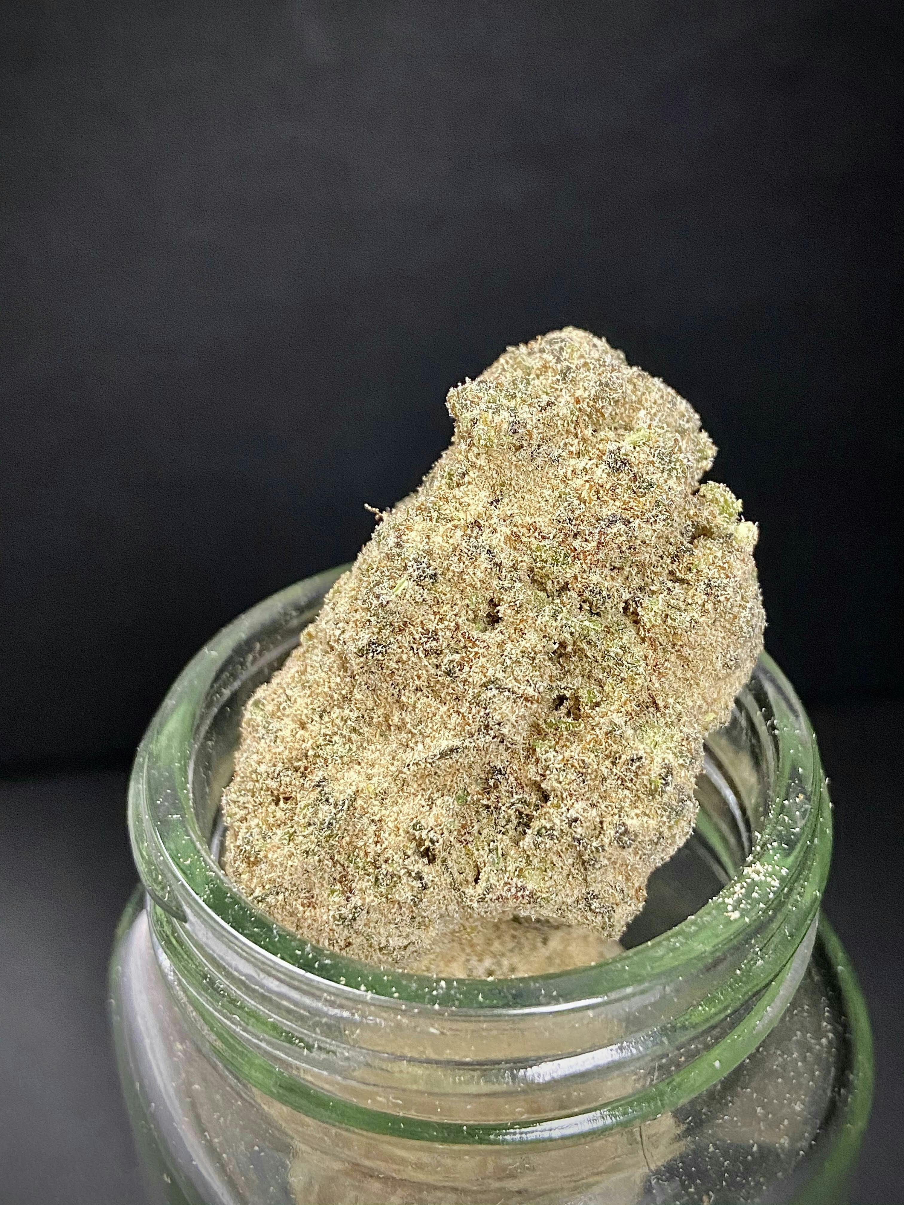 Photograph of product: Dadirri Caviar- Tango (S/H)