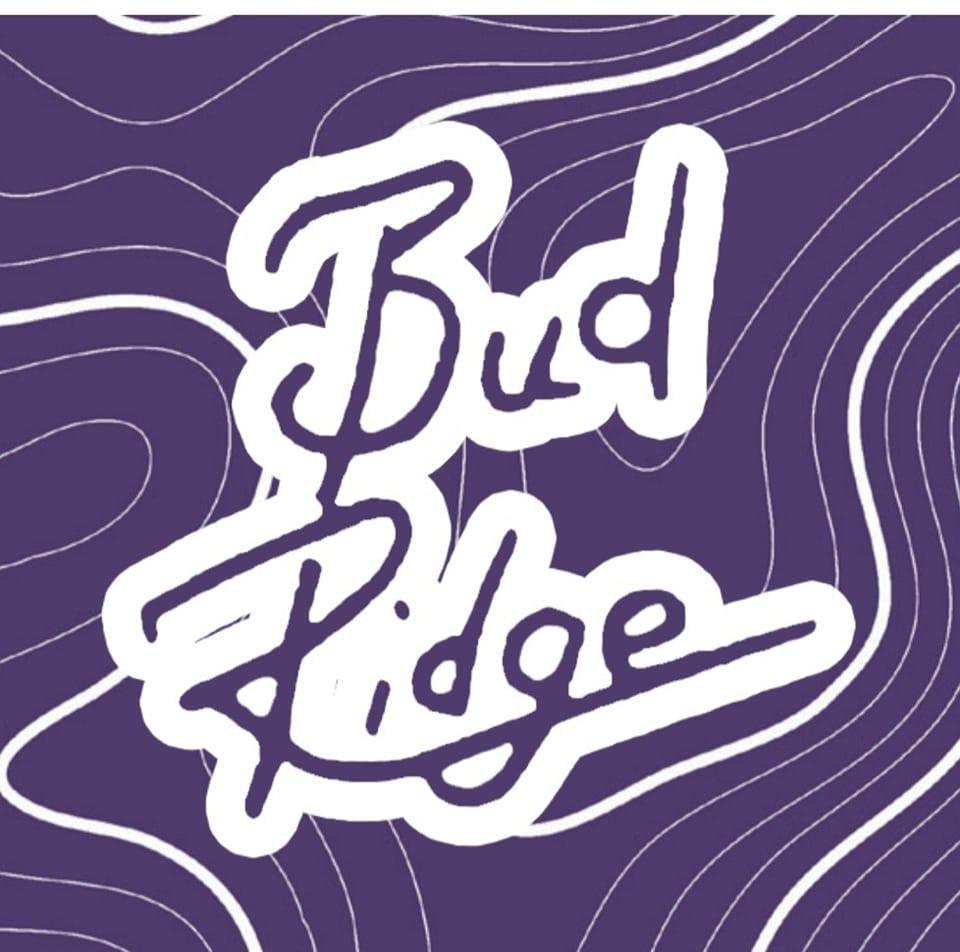 Photograph of product: Bud Ridge - Jealousy - Flower 3.5g