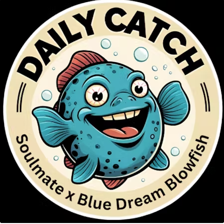 Photograph of product: Daily Catch - Cured Sauce 3.5g