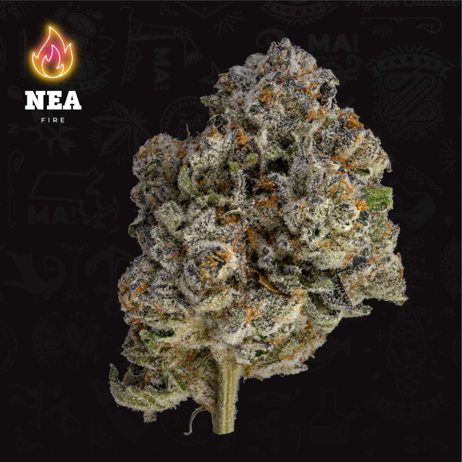 Photograph of product: Dosidos (3.5g Flower)