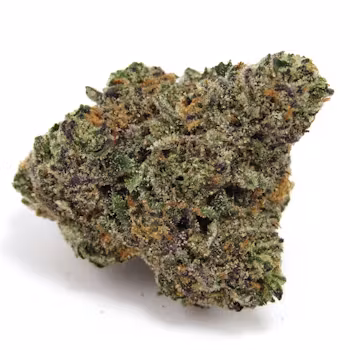Photograph of product: Elysium | Gastro Pop | Flower | Bulk/Deli - 28g