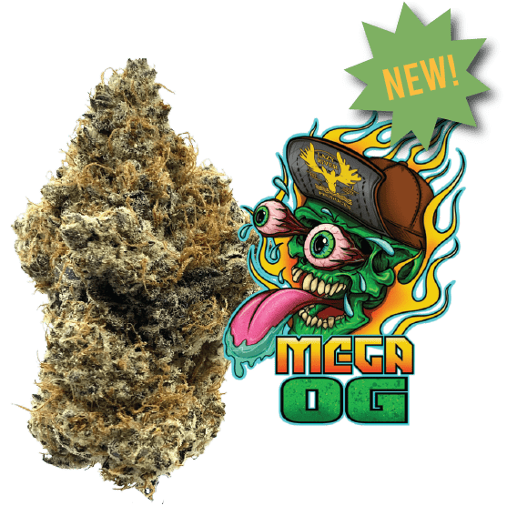 Photograph of product: Mega OG | 3.5g Flower | by Lazy River