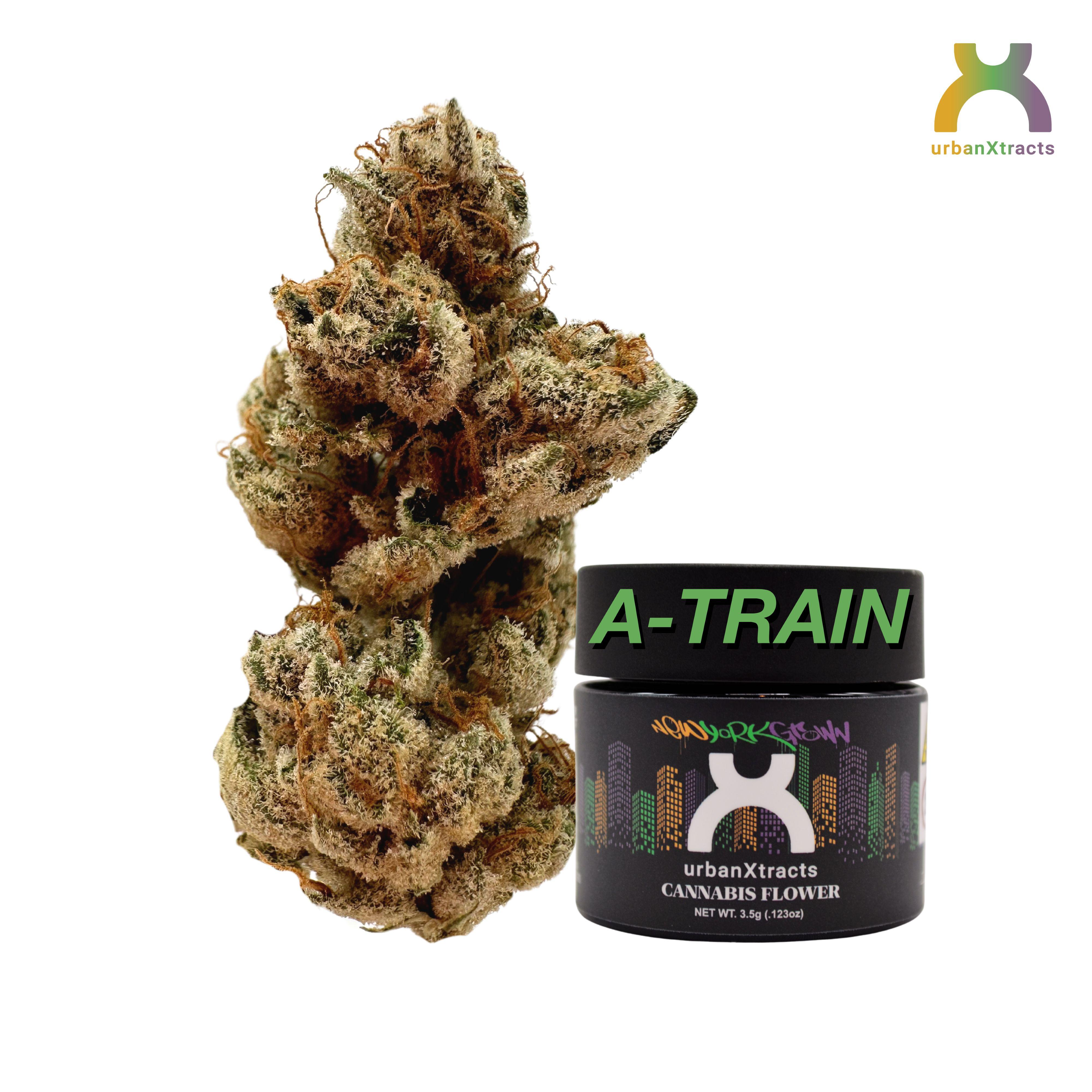 Photograph of product: urbanXtracts | A-Train (h) Premium Flower 3.5g