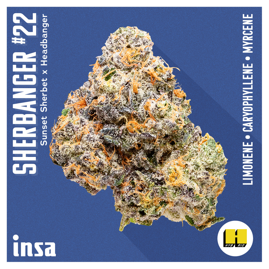 Photograph of product: Flower - Sherbanger 22 - 3.5g
