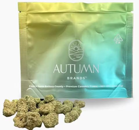 Photograph of product: Autumn Brands 7g Blueberry Pancakes