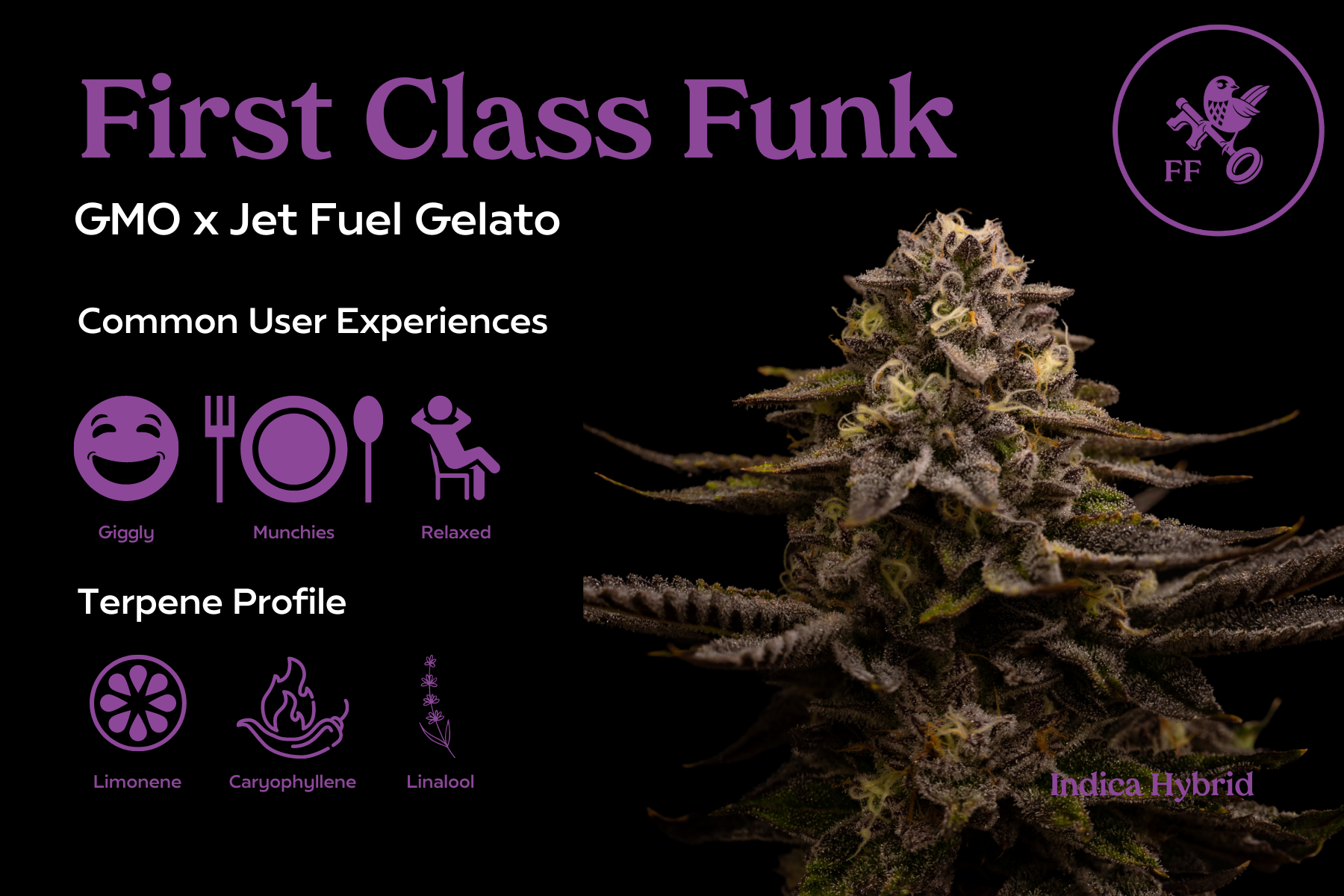 Photograph of product: First Class Funk | Franklin Fields - 28g