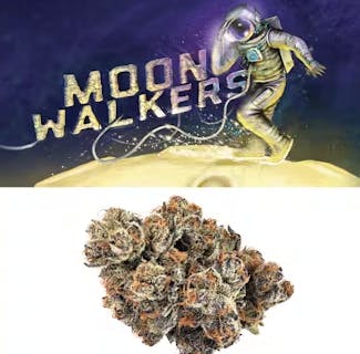 Photograph of product: Moonwalkers I 3.5g I Cookies