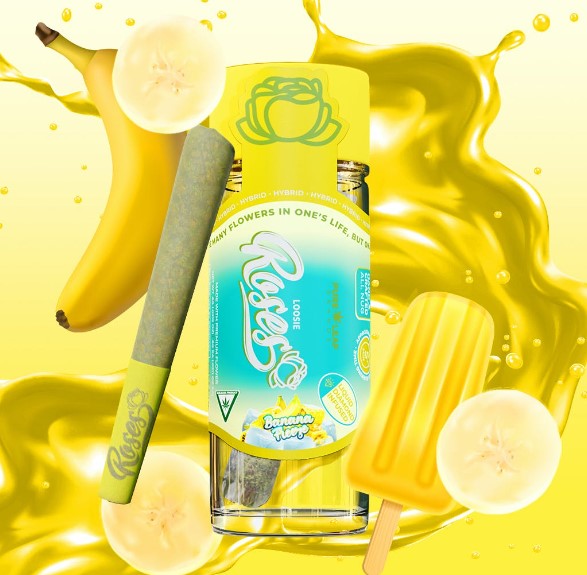 Photograph of product: PR | Orange Shandy | 1g | Infused | Long Stem | Roses