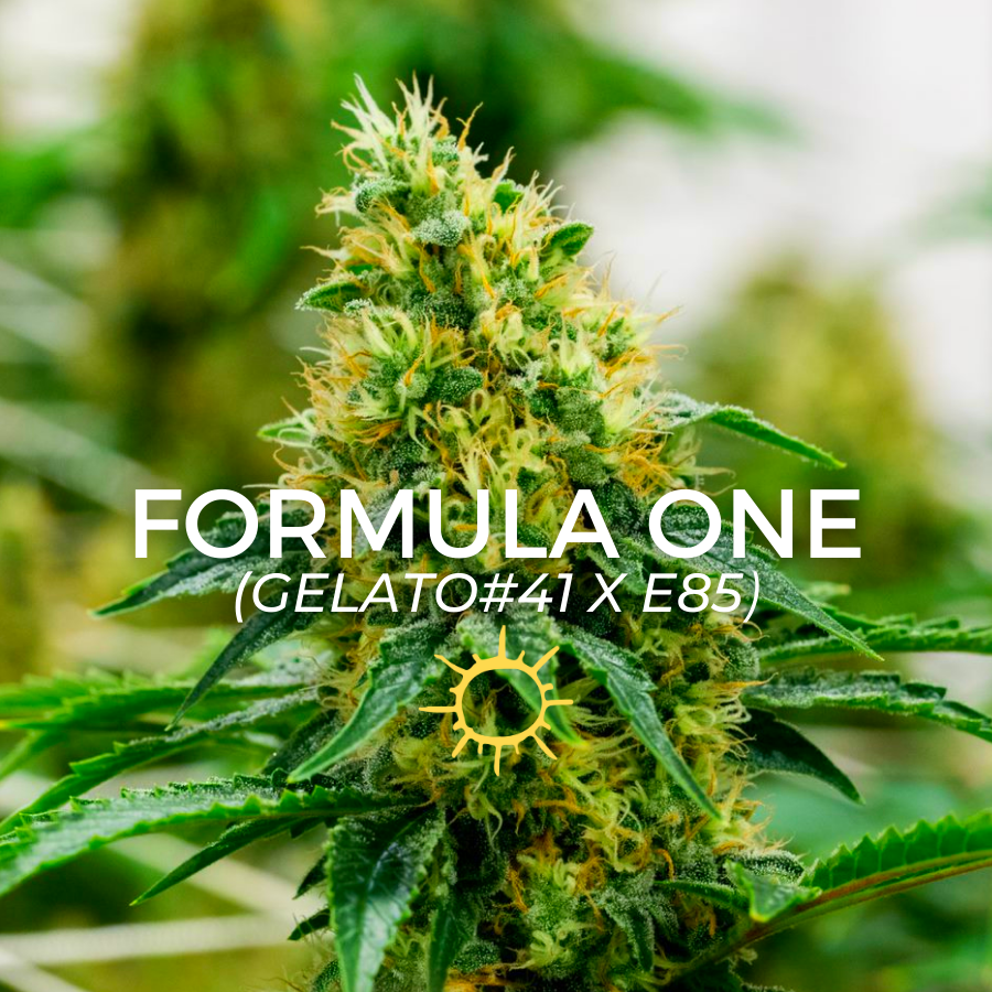 Photograph of product: Formula One - 14g