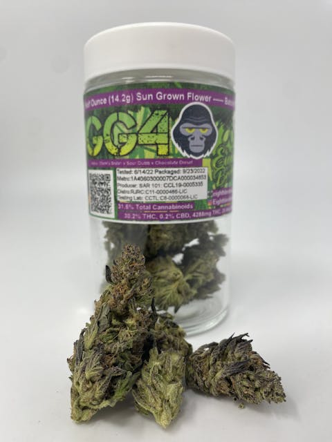 Photograph of product: GG4 14g Outdoor - 