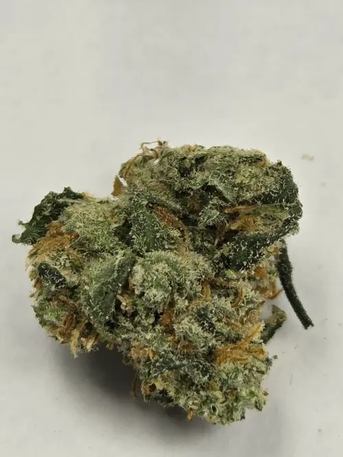 Photograph of product: Jack Herer Silver Lining