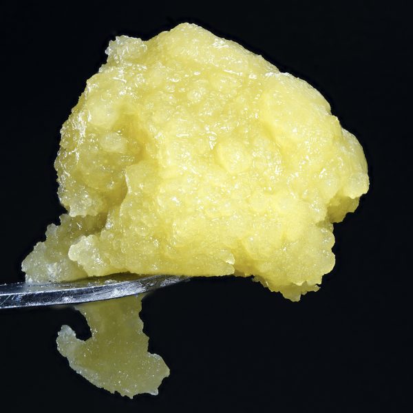 Photograph of product: WoJo | Sundae Driver Live Rosin