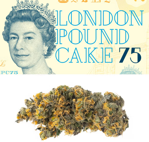 Photograph of product: Cookies - London Pound Cake #75 - 3.5G Bud