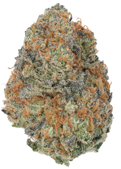 Photograph of product: Voyage Bloom Lemon Rizz Prepack Rec - 14g