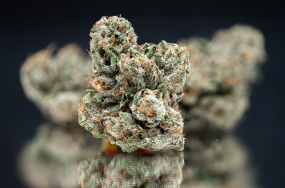 Photograph of product: Mega Wellness OG 3.5g