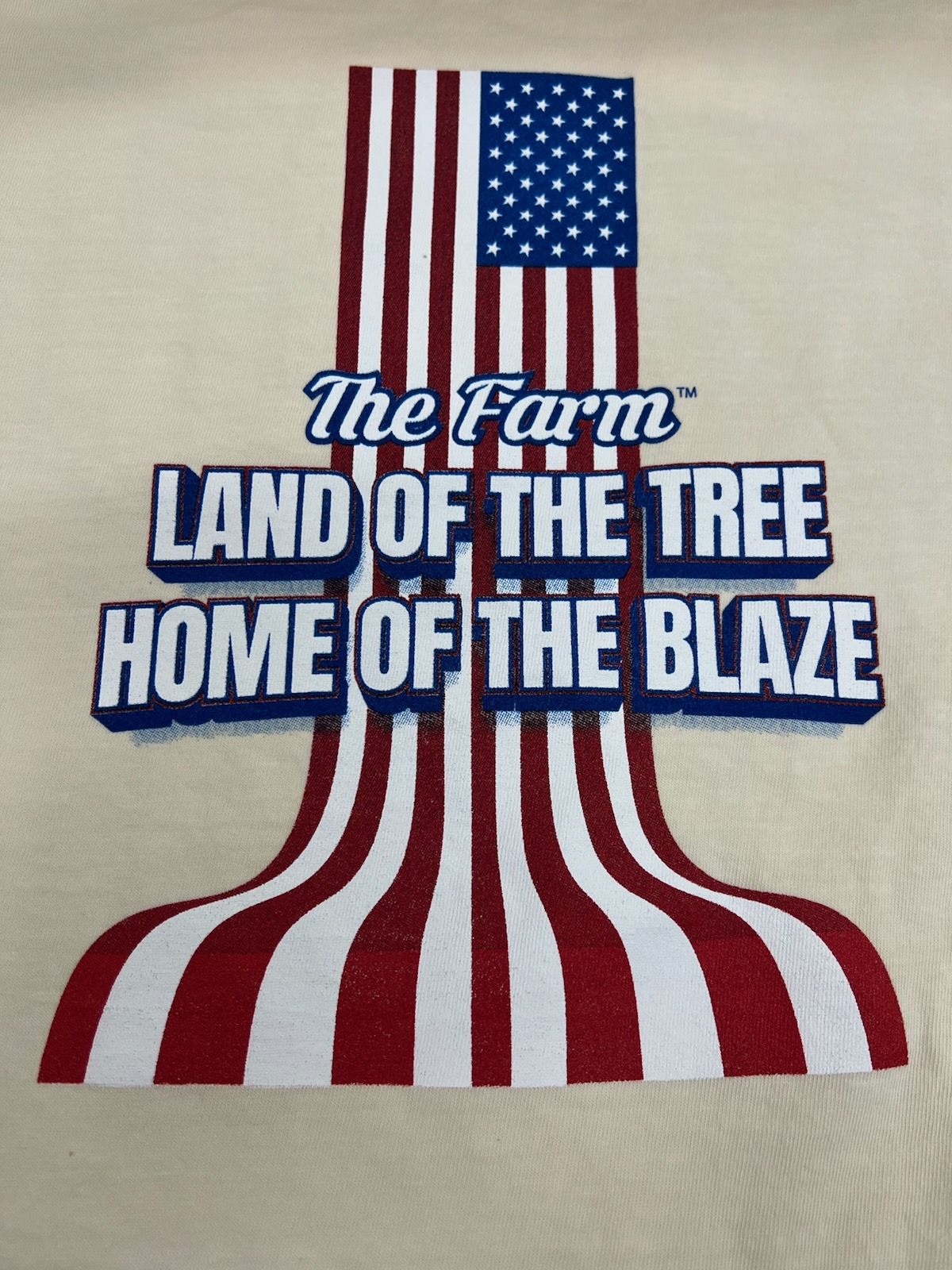 Photograph of product: 2025 4th of July Small T-Shirt - Farms Brand