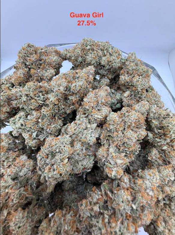 Photograph of product: Guava Girl - Bulk - 1g