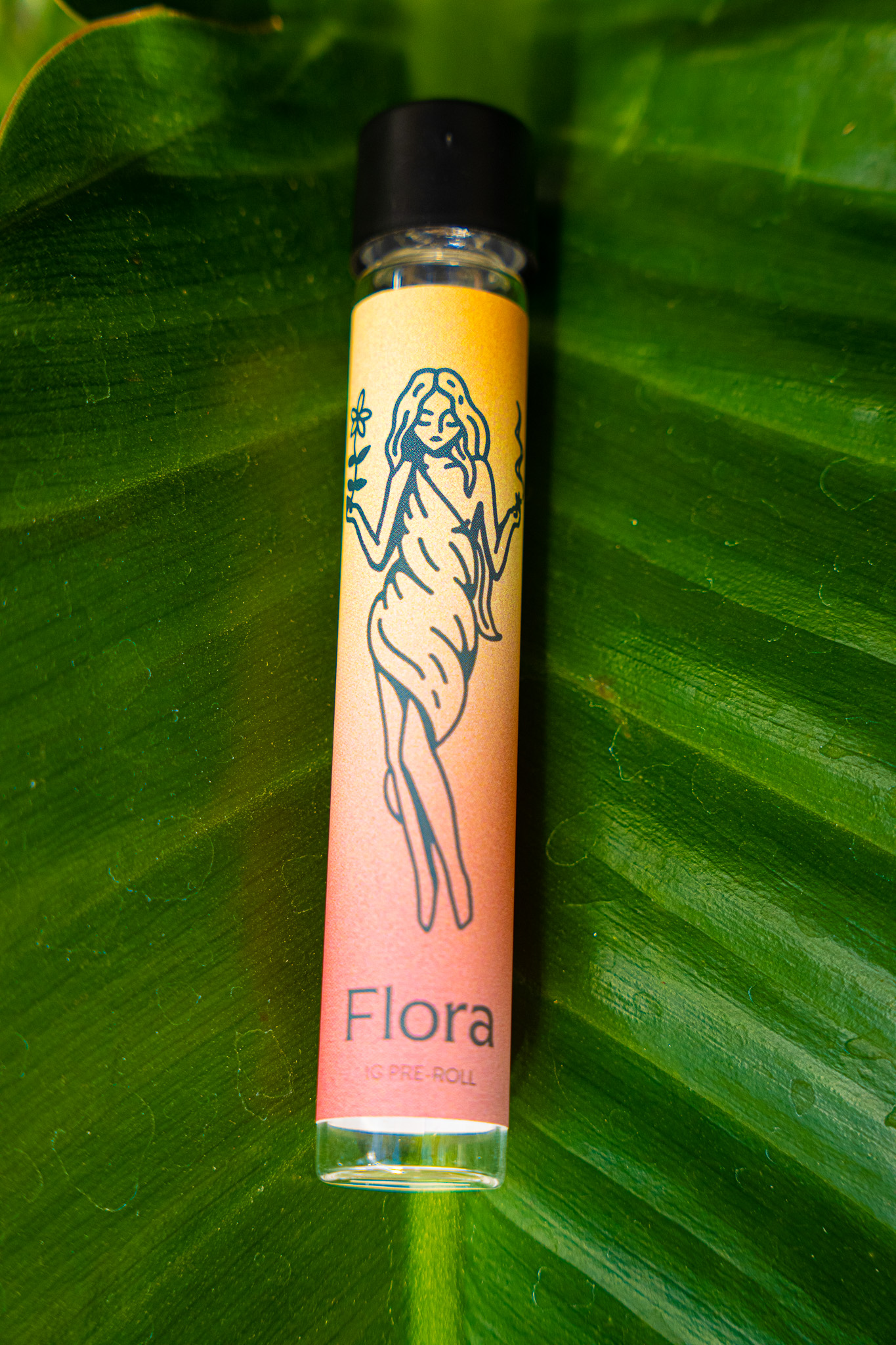 Photograph of product: Flora   Cindyberry Bloom Preroll