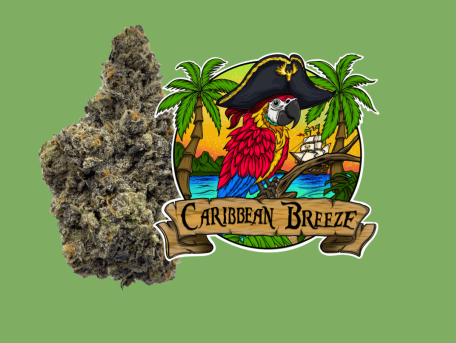 Photograph of product: Caribbean Breeze | 1g Pre-Roll | Lazy River